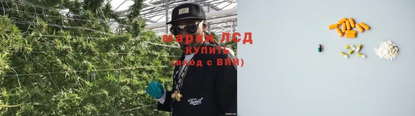 Альфа ПВП Аркадак