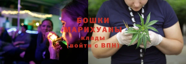 бутират Арсеньев