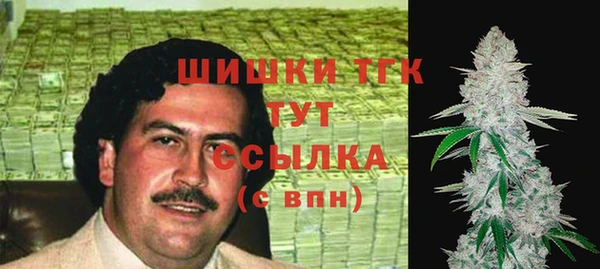 Альфа ПВП Аркадак