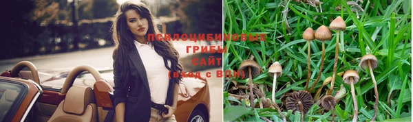 Альфа ПВП Аркадак