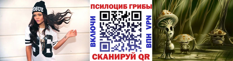 Купить  Вилюйск  Галлюциногенные грибы GOLDEN TEACHER 